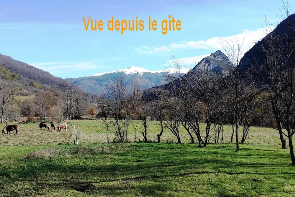 Grange En Pierres. Grand Jardin Et Belle Vue Villa Saurat Eksteriør billede