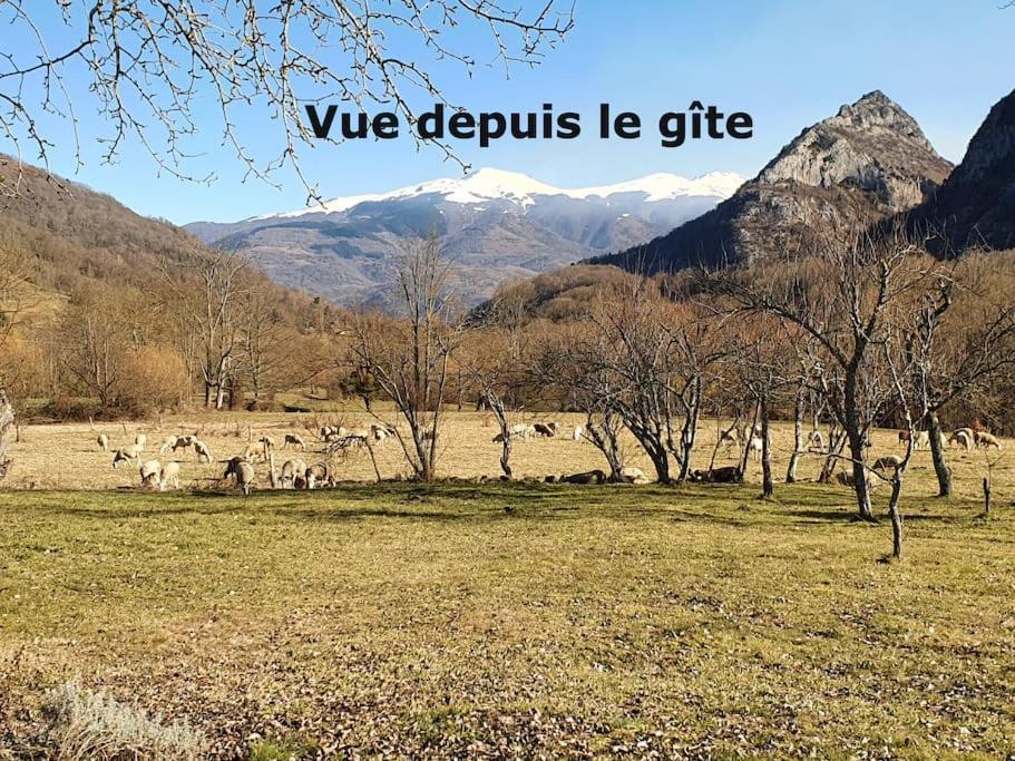 Grange En Pierres. Grand Jardin Et Belle Vue Villa Saurat Eksteriør billede